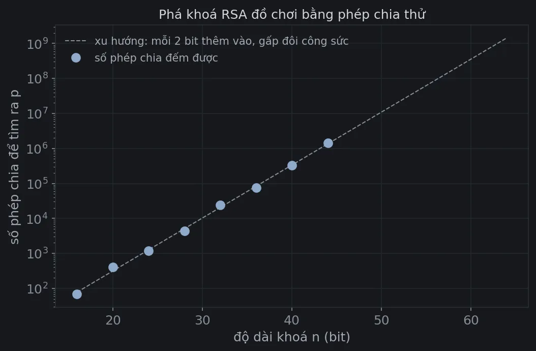 Biểu đồ trục dọc thang logarit: số phép chia cần để tìm ra thừa số nguyên tố p, theo độ dài khóa n từ 16 đến 44 bit. Các điểm đo nằm gần như thẳng hàng, từ khoảng 70 phép chia ở 16 bit lên khoảng 1,4 triệu phép chia ở 44 bit. Đường xu hướng nét đứt kéo dài tới 64 bit, chạm mức khoảng một tỷ phép chia.